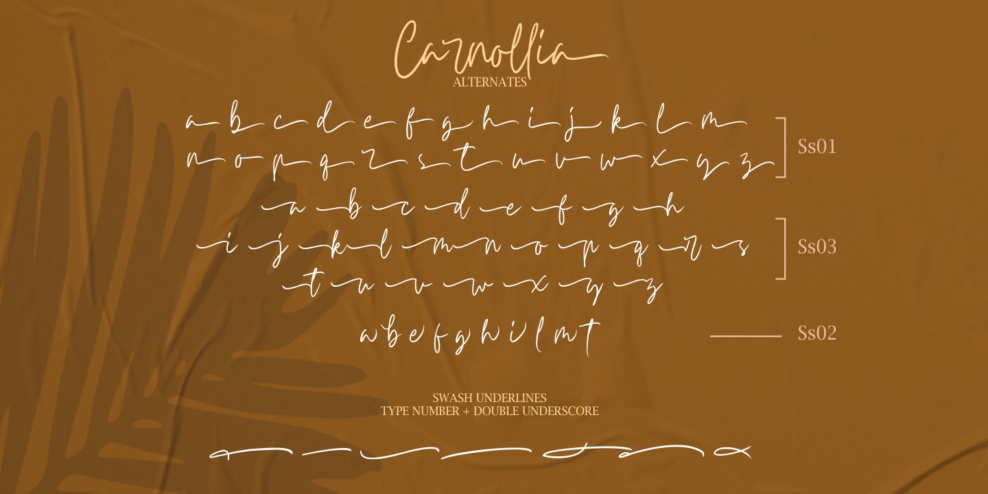 Beispiel einer Carnollia Signature Regular-Schriftart